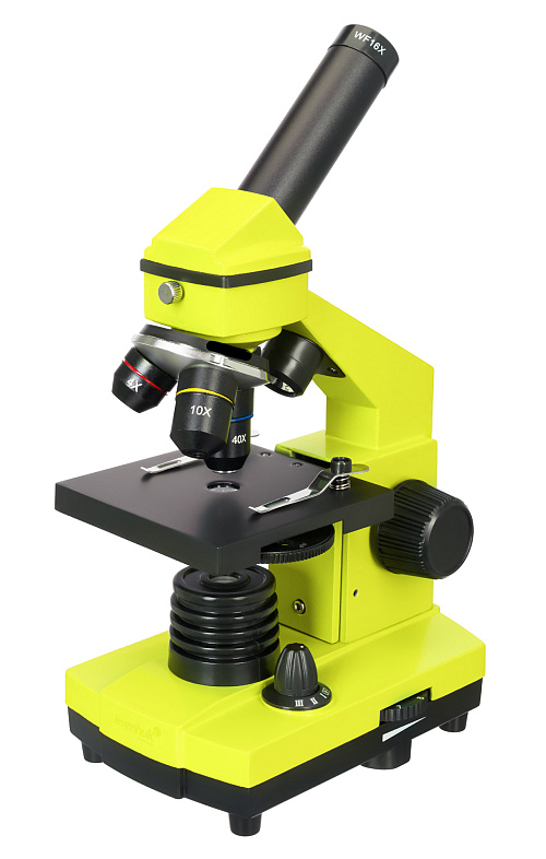 obrázek Mikroskop Levenhuk Rainbow 2L PLUS Lime\Limetka - Vystavený předmět