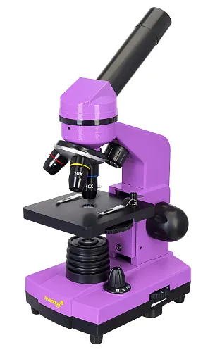 snímek Mikroskop Levenhuk Rainbow 2L Amethyst\Ametyst - Vystavený předmět