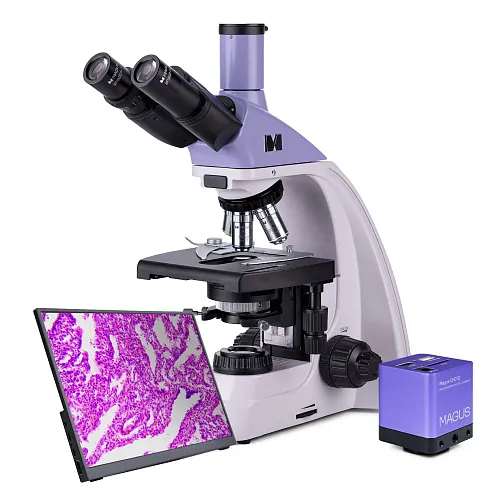 obrázek Biologický digitální mikroskop MAGUS Bio D250TL LCD