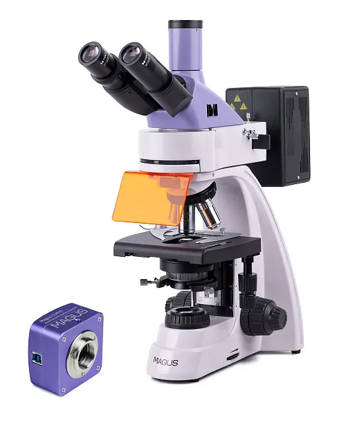 foto Fluorescenční digitální mikroskop MAGUS Lum D400