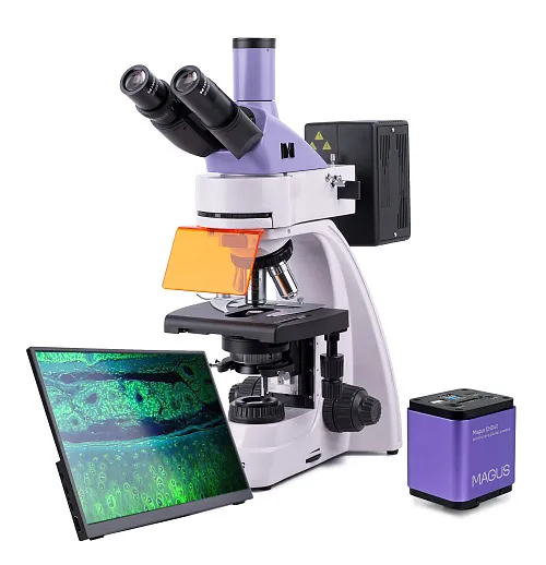 snímek Fluorescenční digitální mikroskop MAGUS Lum D400 LCD