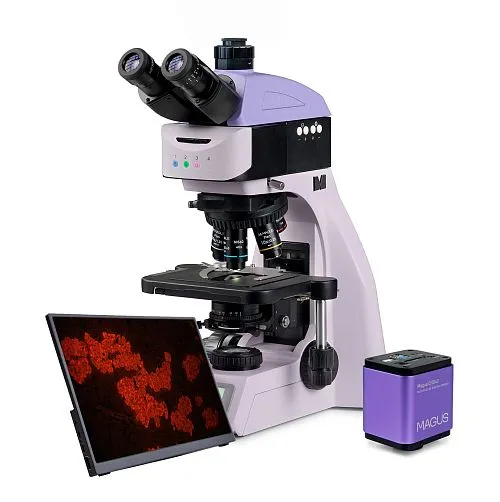 obrázek Fluorescenční digitální mikroskop MAGUS Lum D460L LCD,  1