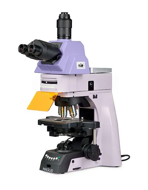 fotografie Fluorescenční mikroskop MAGUS Lum 490L,  1