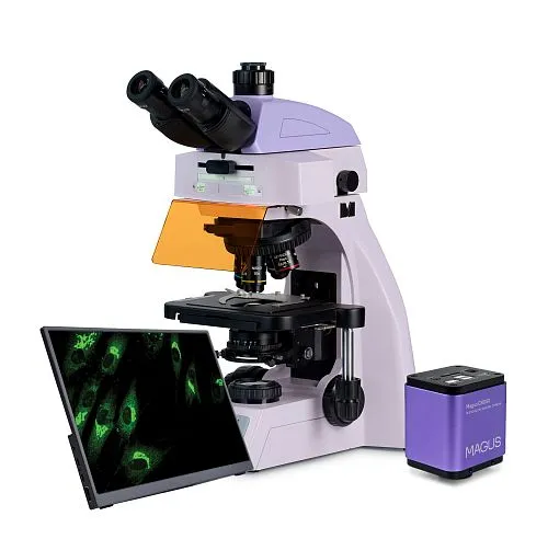 obrázek Fluorescenční digitální mikroskop MAGUS Lum D450L LCD,  1