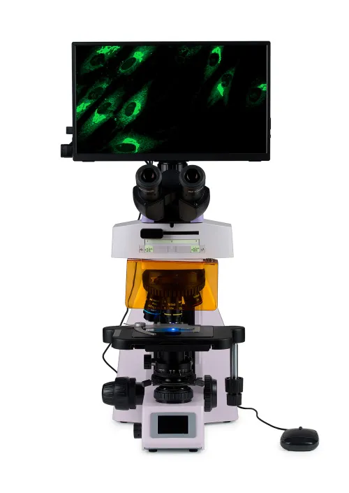 obrázek Fluorescenční digitální mikroskop MAGUS Lum D450L LCD,  8