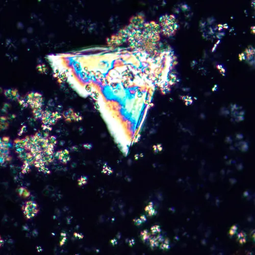 obrázek Polarizační digitální mikroskop MAGUS Pol D850,  25