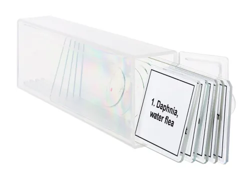 fotografie Sada mikropreparátů Levenhuk Discovery Prof DPS 5. „Život v kapce vody“,  5