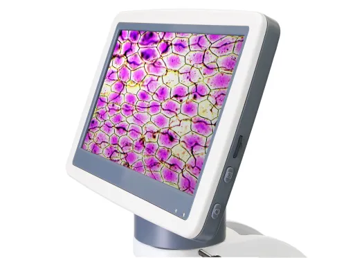 foto Digitální mikroskop Levenhuk D85L LCD - Vystavený předmět,  7