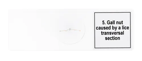 snímek Sada mikropreparátů Levenhuk Discovery Prof DPS 5. „Mutace“,  8