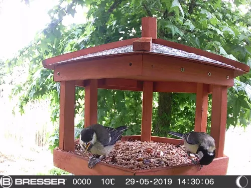 obrázek Kamera 16 MP Bresser 90° pro pozorování divoké zvěře,  6