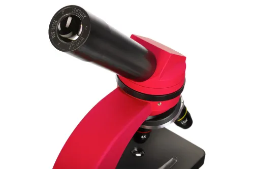 obrázek Mikroskop Levenhuk Discovery Nano,  10