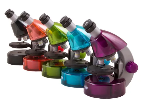 snímek Mikroskop Levenhuk LabZZ M101 Amethyst\Ametyst - Vystavený předmět,  13