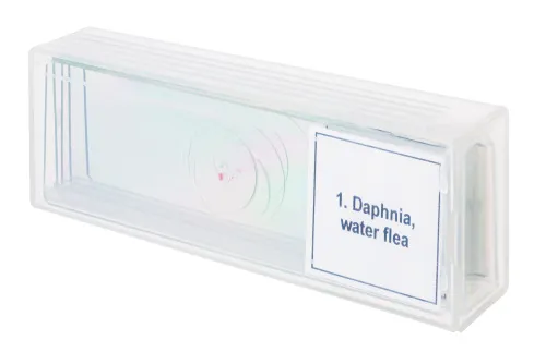 fotografie Sada mikropreparátů Levenhuk Discovery Prof DPS 5. „Život v kapce vody“,  4