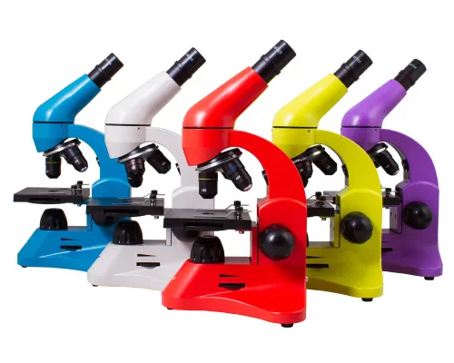 fotografie Mikroskop Levenhuk Rainbow 50L Azure\Azur - Vystavený předmět,  21