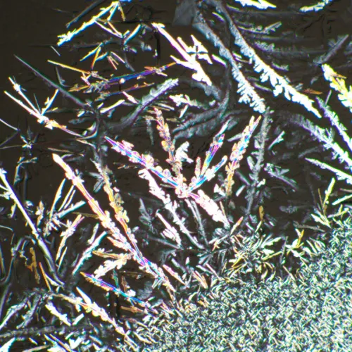 obrázek Sada polarizátoru a analyzátoru MAGUS SPD2,  4