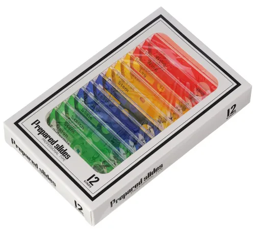 snímek Digitální mikroskop Levenhuk Rainbow DM500 LCD - Vystavený předmět,  12