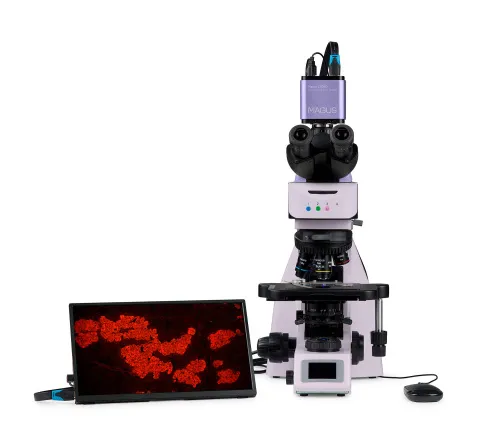 obrázek Fluorescenční digitální mikroskop MAGUS Lum D460L LCD,  10