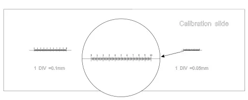 snímek Kalibrační sklíčko MAGUS CS3 (0,01/ 0,05/ 0,1),  6