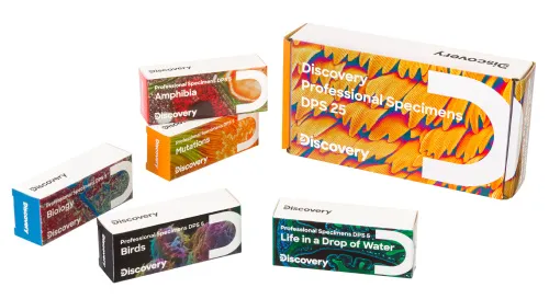 fotografie Sada mikropreparátů Levenhuk Discovery Prof DPS 5. „Obojživelníci“,  3