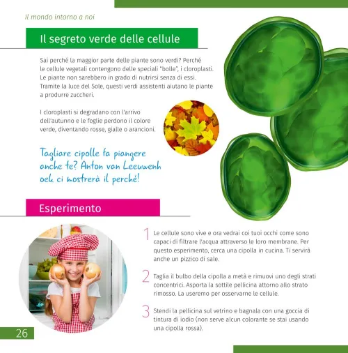 fotografie Mikroskop se vzdělávací publikací Levenhuk Discovery Micro,  7