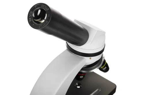 obrázek Mikroskop Levenhuk Discovery Nano,  10