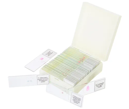 snímek Sada mikropreparátů Levenhuk Discovery Prof DPS 25. „Biologie, ptáci, atd.“,  5