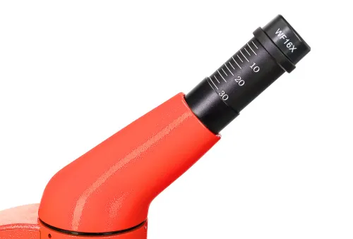 fotografie Mikroskop Levenhuk Rainbow 50L PLUS Orange\Pomeranč - Vystavený předmět,  18