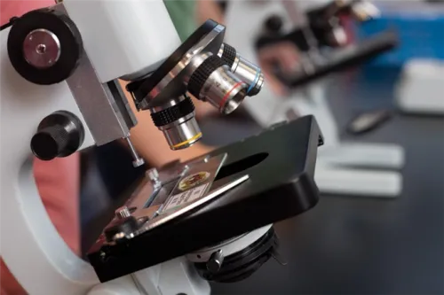 foto Mikroskop Celestron Advanced 500x,  3