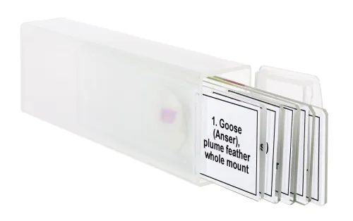 snímek Sada mikropreparátů Levenhuk Discovery Prof DPS 5. „Ptáci“,  5