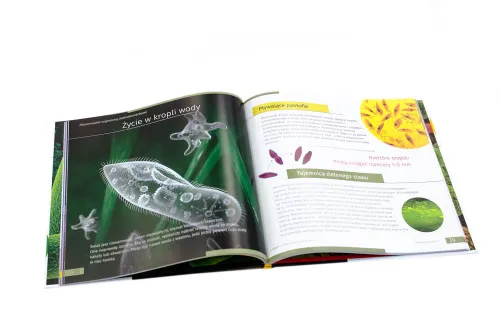 fotografie Neviditelný svět. Vzdělávací publikace. Pevná vazba,  4