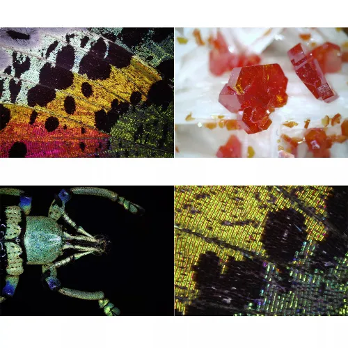 obrázek Digitální USB mikroskop Bresser DST1028 USB,  4