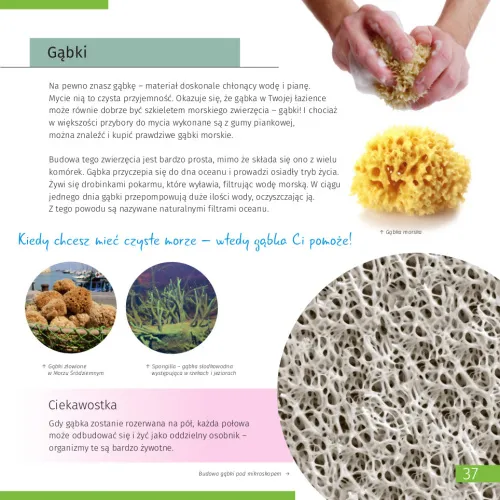 fotografie Neviditelný svět. Vzdělávací publikace,  7