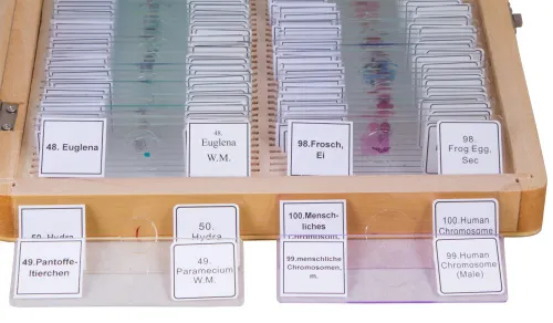 snímek Sada preparátů připravených k pozorování mikroskopem Bresser, 100 ks v kufru,  4