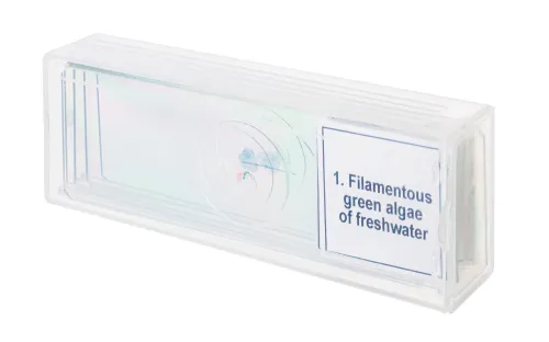 foto Sada mikropreparátů Levenhuk Discovery Prof DPS 5. „Biologie“,  4