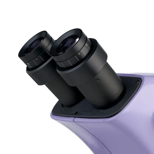 fotografie Stereomikroskop MAGUS Stereo 9T,  12
