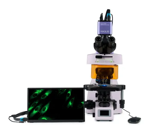obrázek Fluorescenční digitální mikroskop MAGUS Lum D450L LCD,  9