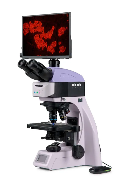obrázek Fluorescenční digitální mikroskop MAGUS Lum D460L LCD,  2
