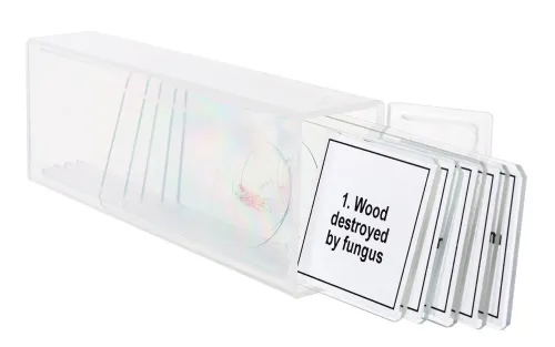 snímek Sada mikropreparátů Levenhuk Discovery Prof DPS 5. „Mutace“,  5