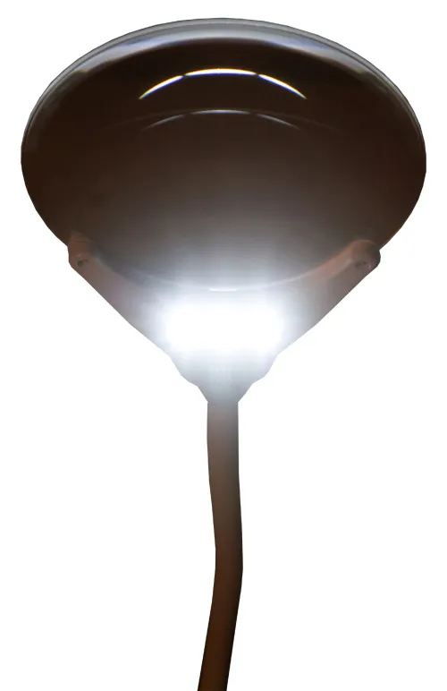 snímek Lupa Levenhuk Zeno Lamp ZL13,  10