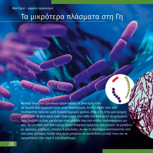 fotografie Neviditelný svět. Vzdělávací publikace,  7