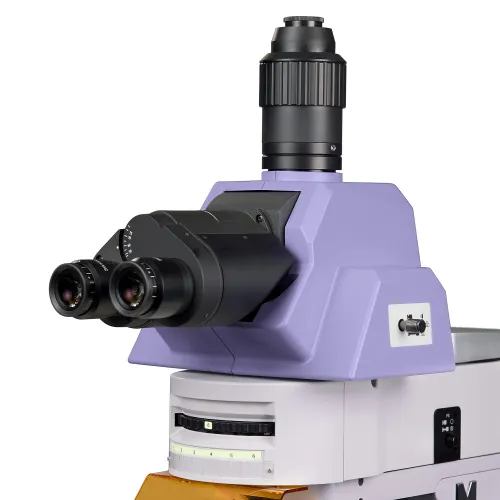 fotografie Fluorescenční mikroskop MAGUS Lum 490L,  9