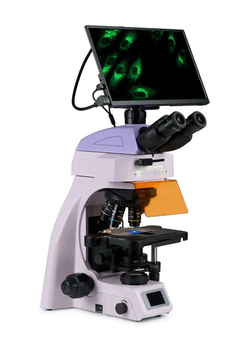 obrázek Fluorescenční digitální mikroskop MAGUS Lum D450L LCD,  3