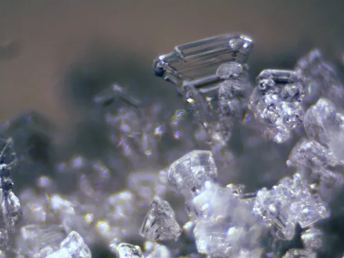 foto Stereomikroskop Bresser Erudit ICD,  12