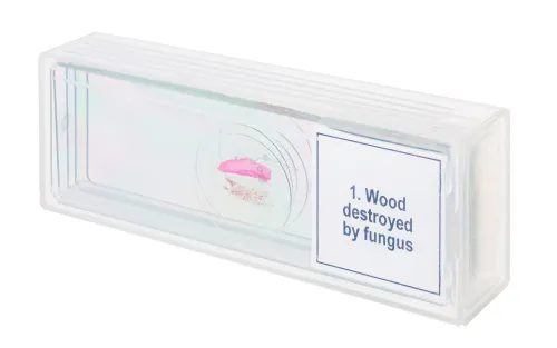 snímek Sada mikropreparátů Levenhuk Discovery Prof DPS 5. „Mutace“,  4