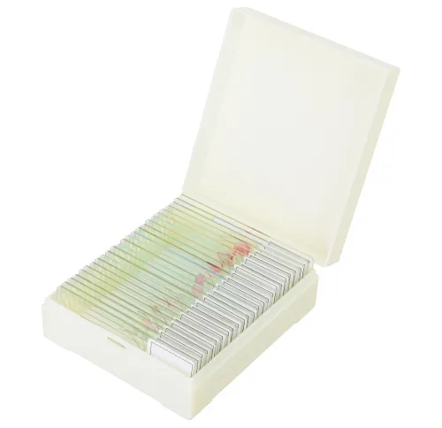 snímek Sada mikropreparátů Levenhuk Discovery Prof DPS 25. „Biologie, ptáci, atd.“,  7