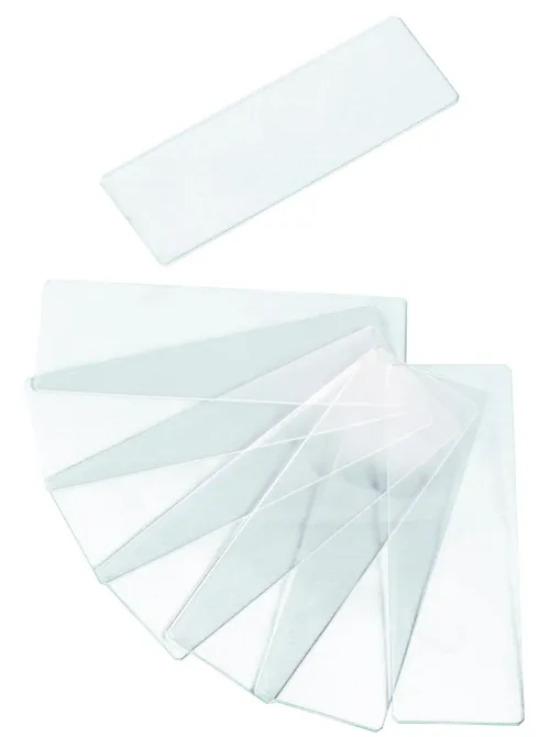 obrázek Dvoudutinová čistá sklíčka Levenhuk G50 2H, 50 kusů,  3