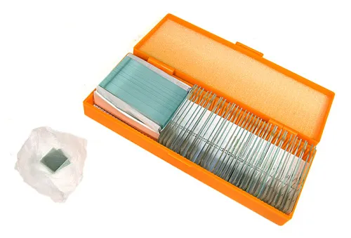 snímek Sada preparátů připravených k pozorování mikroskopem Levenhuk N38 NG,  3