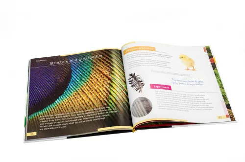 fotografie Neviditelný svět. Vzdělávací publikace. Pevná vazba,  10