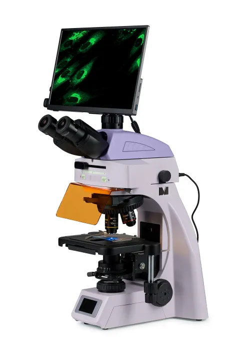 obrázek Fluorescenční digitální mikroskop MAGUS Lum D450L LCD,  2