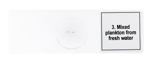 fotografie Sada mikropreparátů Levenhuk Discovery Prof DPS 5. „Život v kapce vody“,  7